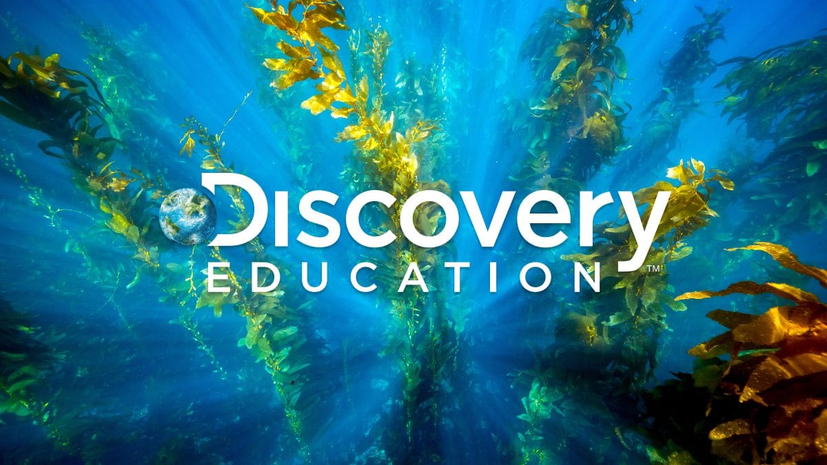 ديسكفري إديوكيشن تعيّن كارا شلاجتر أول مديرة تنفيذية لأمن المعلومات