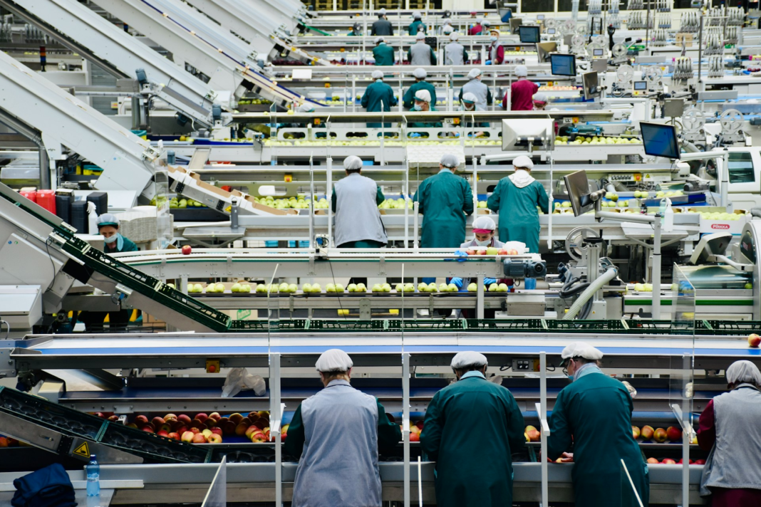 From Farm to Factory Floor: Food and Beverage Manufacturing’s CISOs to Watch