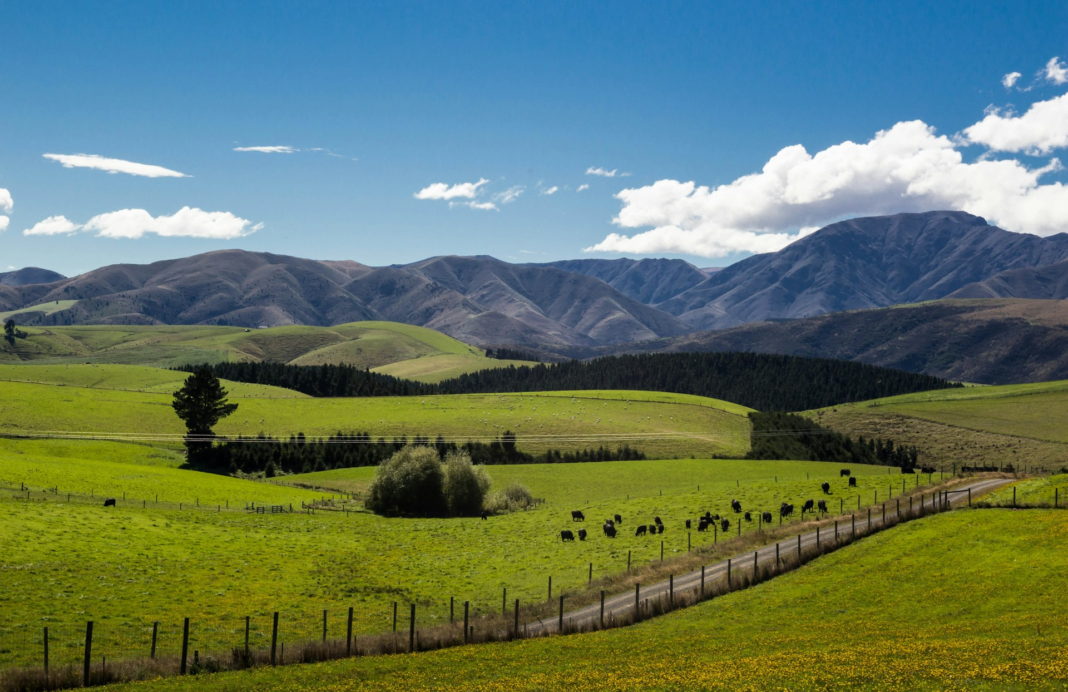 From Paddock to Pour: Australia and New Zealand’s Food and Beverage Cybersecurity Leaders to Watch